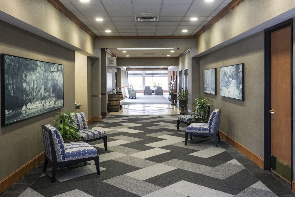 Hilton Garden Inn Louisville Airport - photo 9