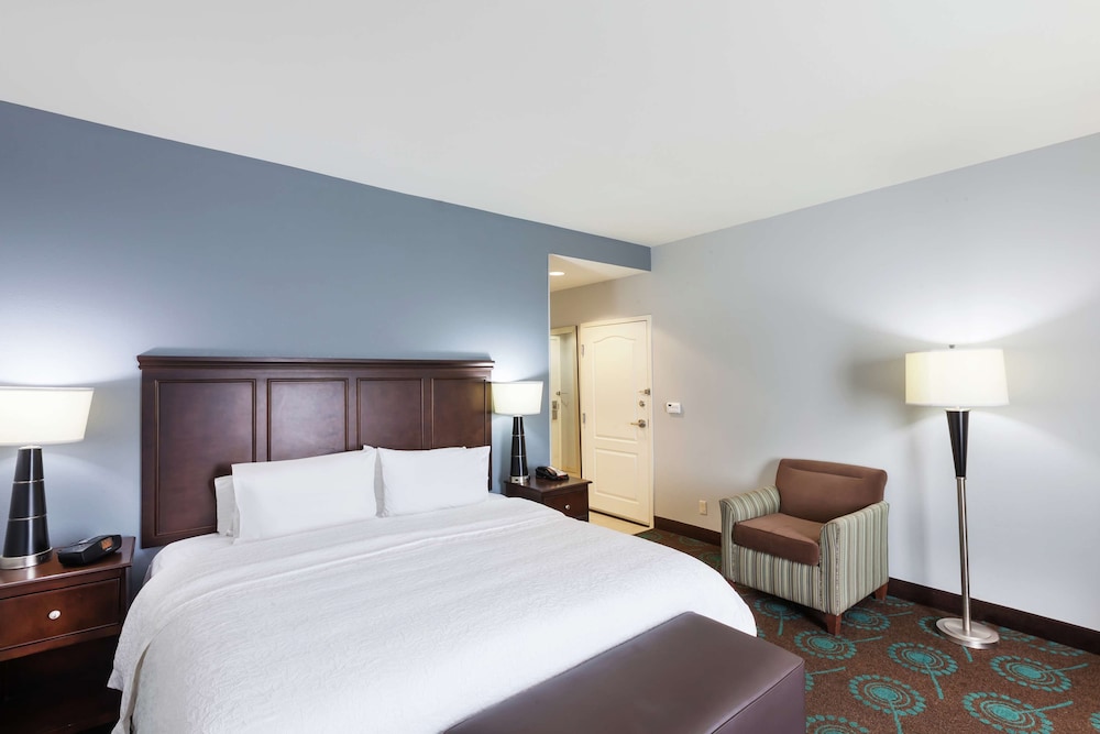 Hampton Inn & Suites Shreveport Bossier City Airline Drive - photo 6