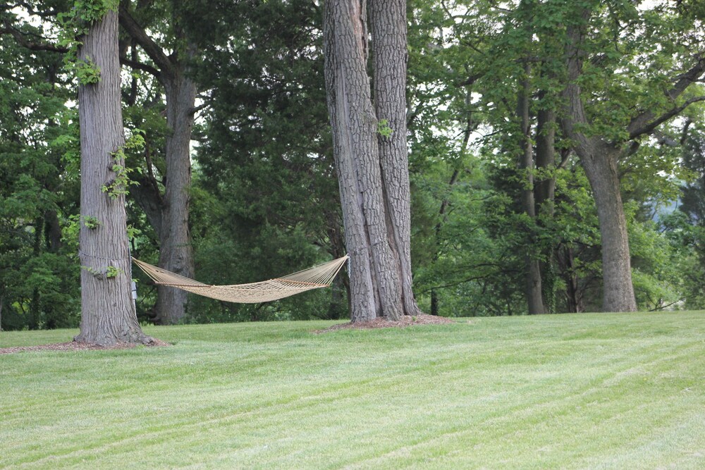 Great Oak Manor - photo 35