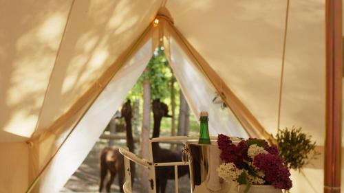 Glamping Visingsö - last minute hotel in Unknown City
