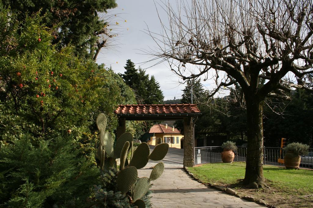 Dino - carbon neutral hotel in Fiesole