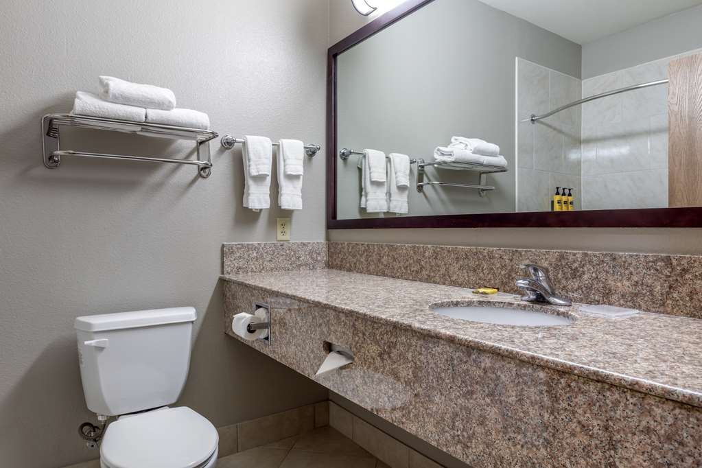 Best Western Plus Mansfield Inn & Suites - photo 20