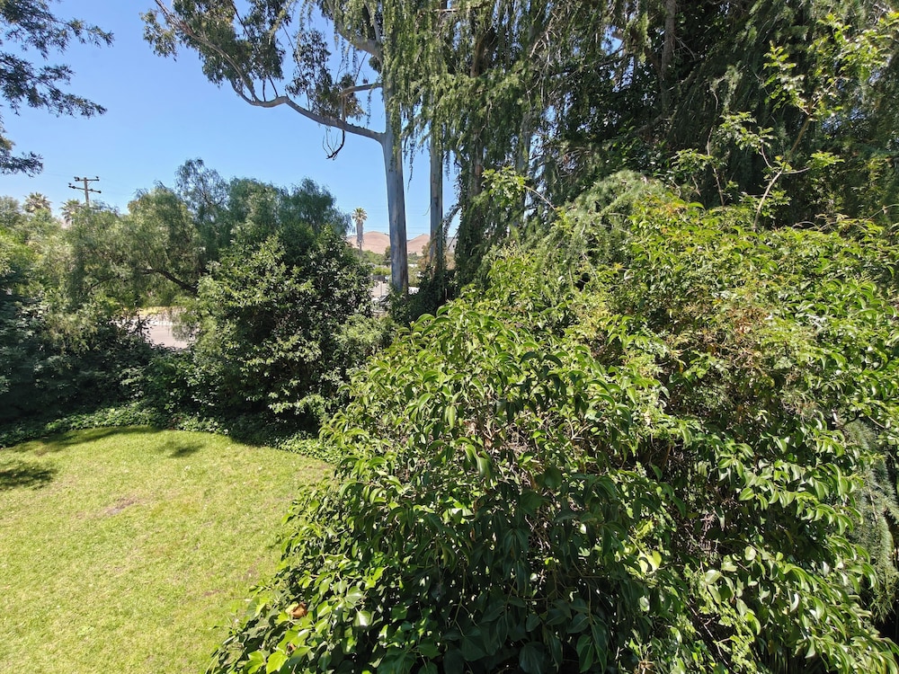 Kaleidoscope Inn & Gardens - photo 99