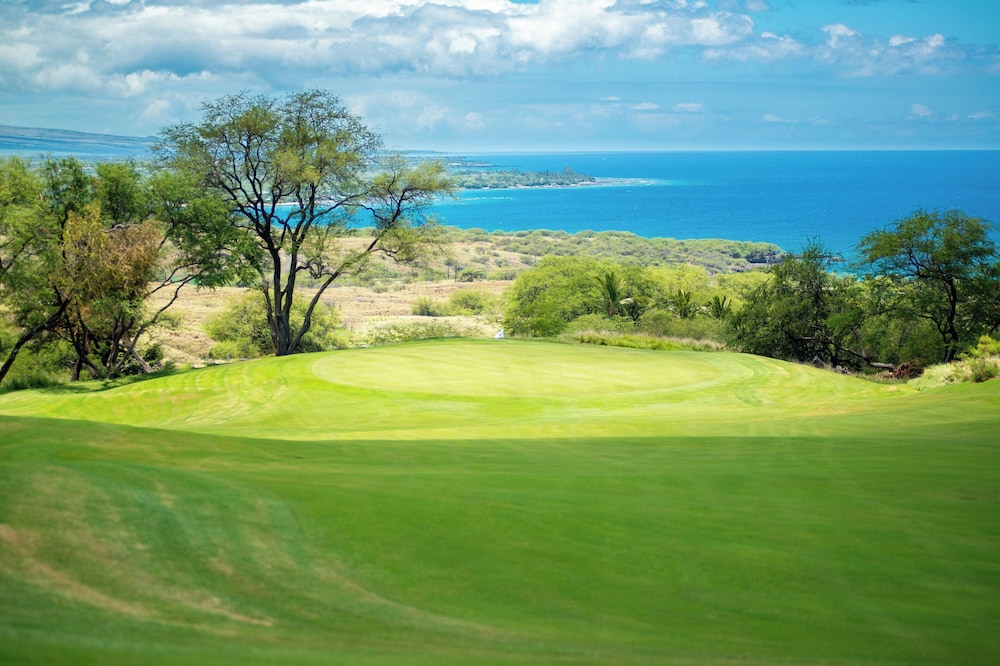 The Westin Hapuna Beach Resort - photo 88