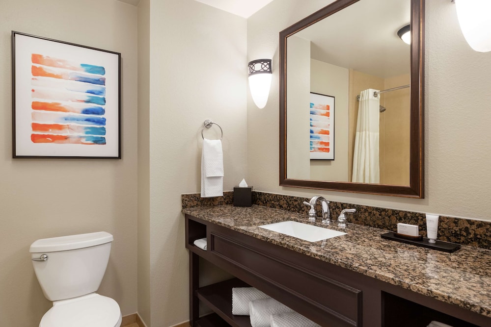 Embassy Suites by Hilton Orlando Lake Buena Vista South - photo 45