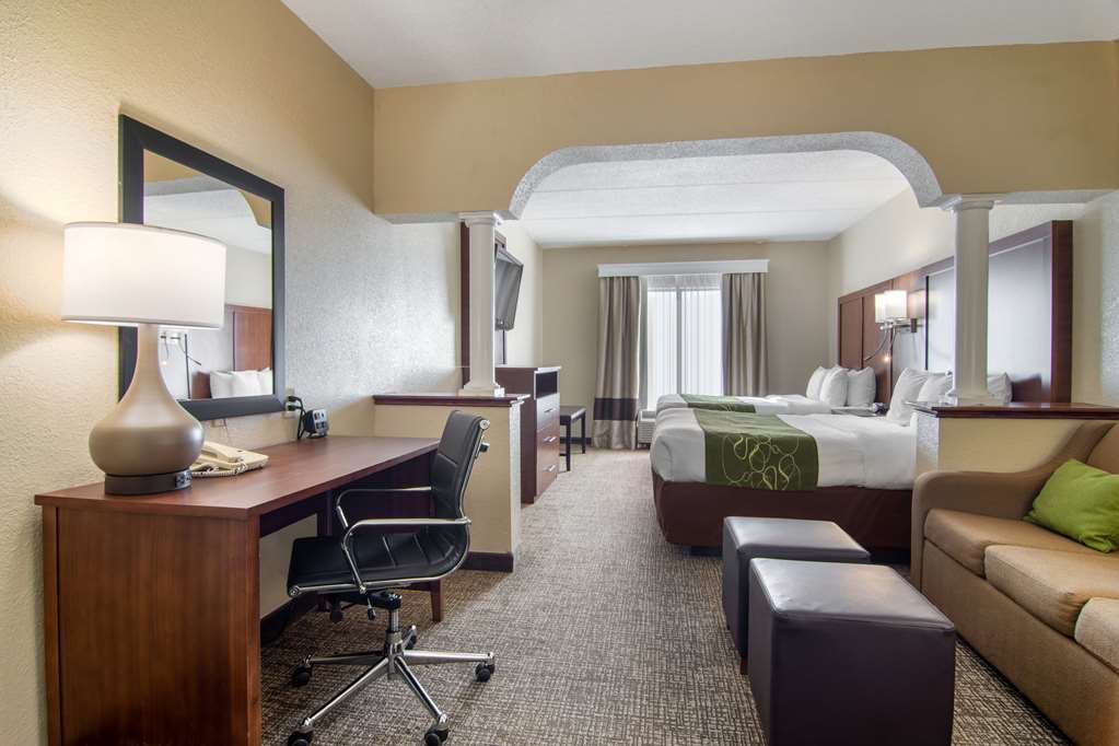 Comfort Suites Woodstock Atlanta North - photo 32