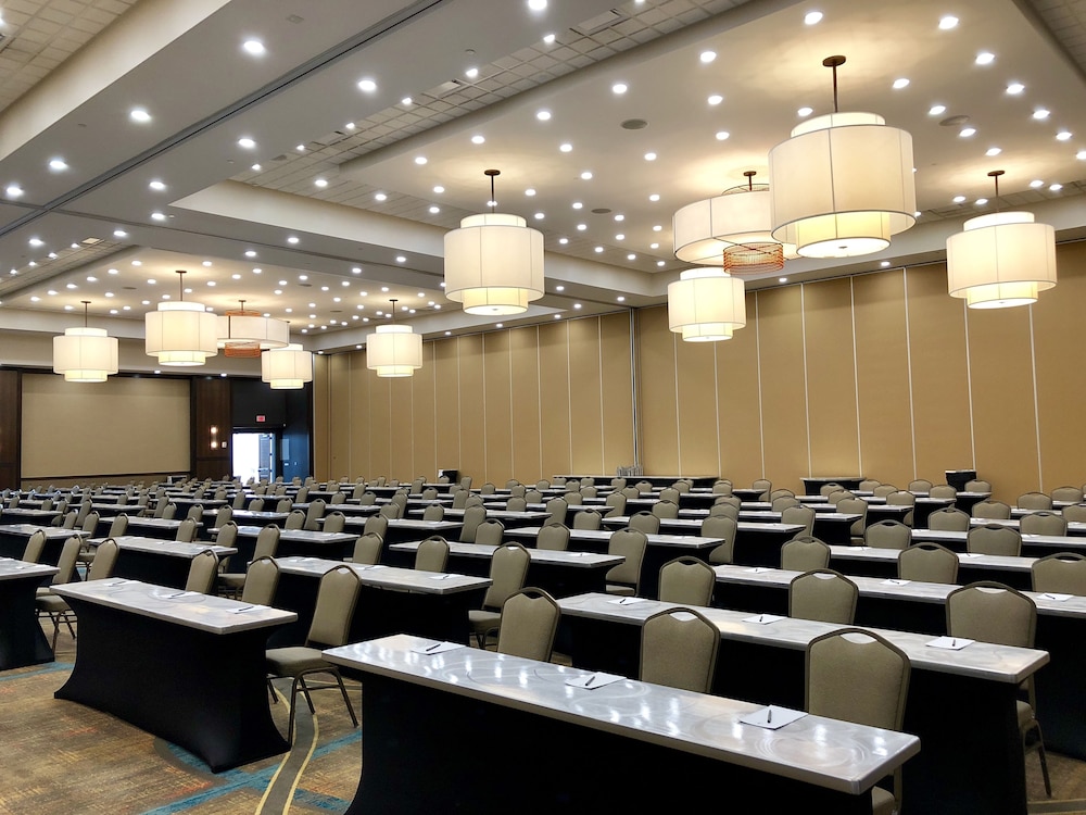 Embassy Suites by Hilton Chicago Naperville - photo 29