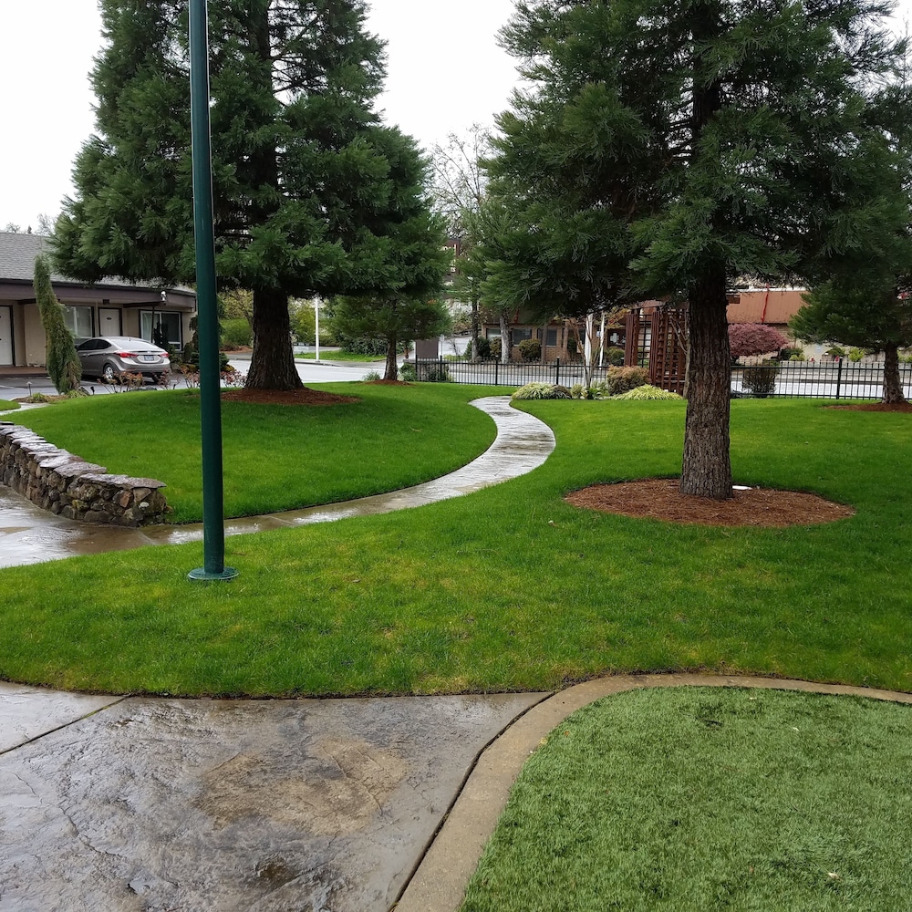Redwood Garden Inn - photo 16