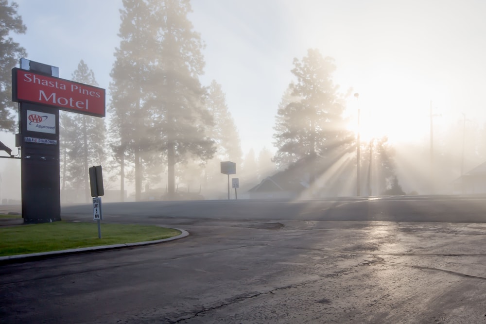 Shasta Pines Motel & Suites - photo 53