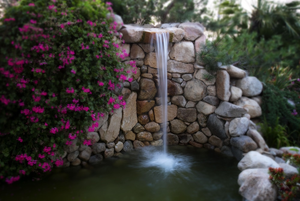South Coast Winery Resort and Spa - photo 30