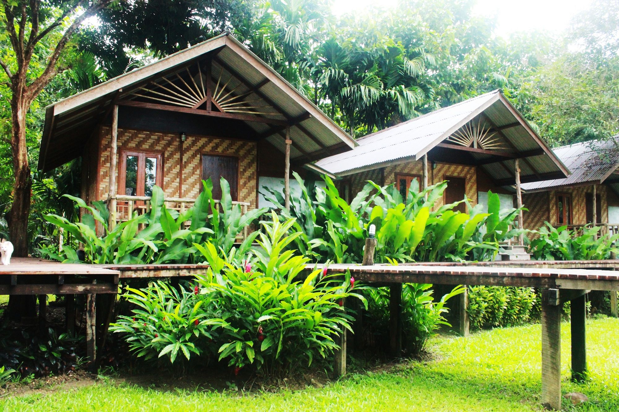 Khao Sok Cabana Resort in Phanom, Thailand