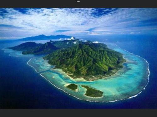 Fare Paloma Moorea — Unknown City