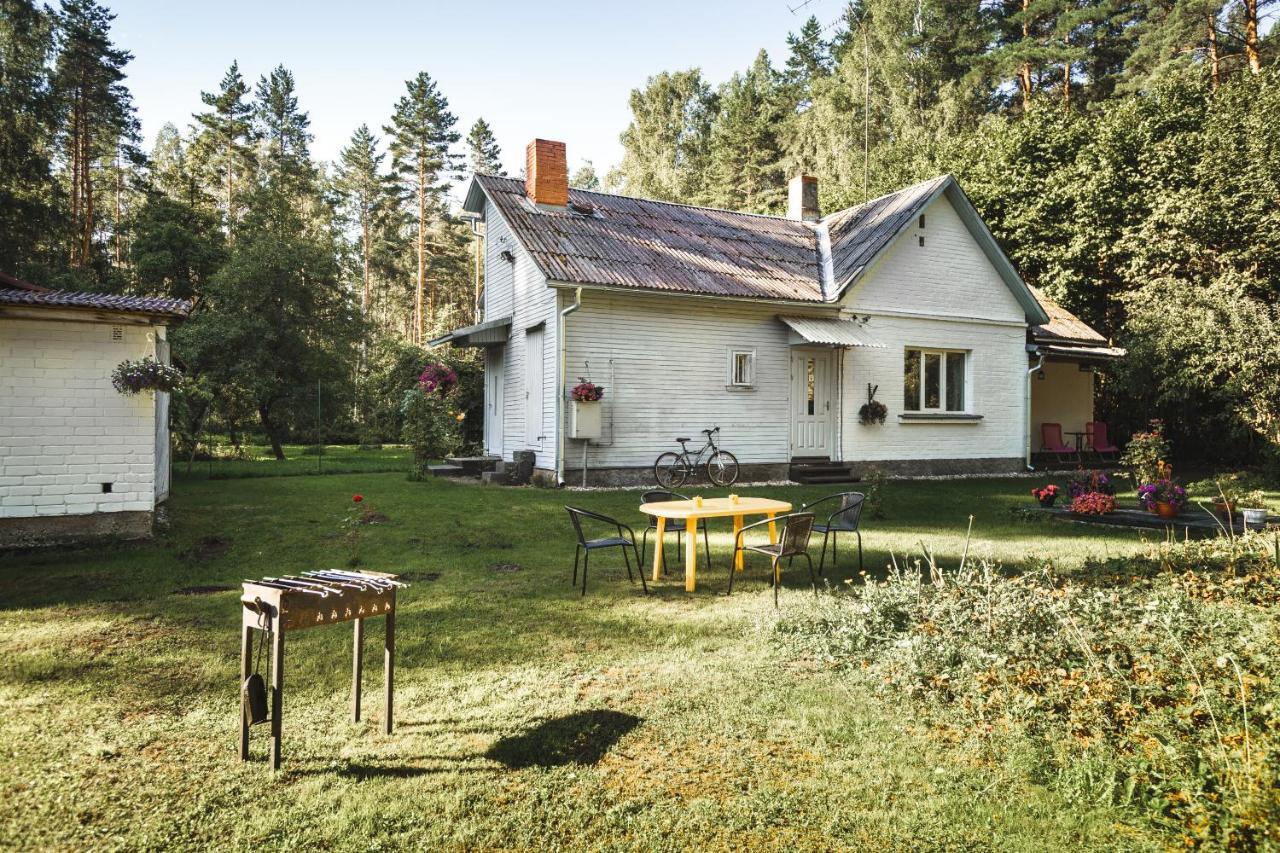 Strawberry Forest in Jurmala, Latvia