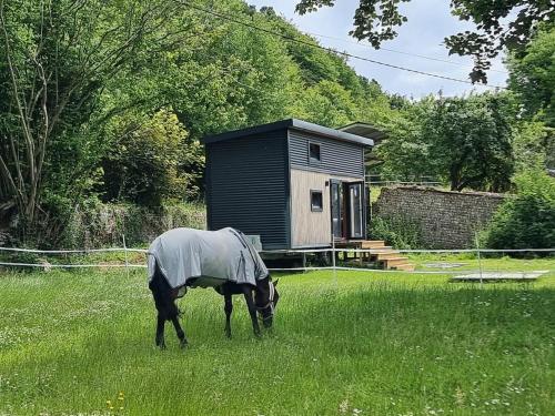 Le Petit Haras de Valmont - last minute hotel in Valmont