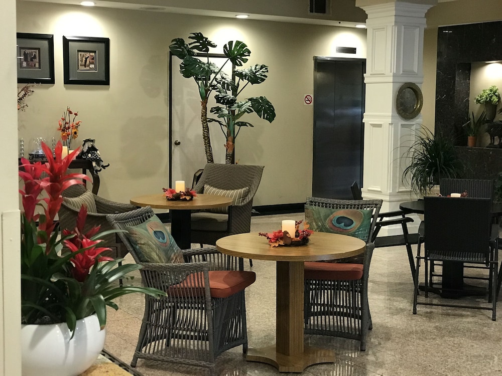 GreenTree Inn & Suites Alhambra - photo 6