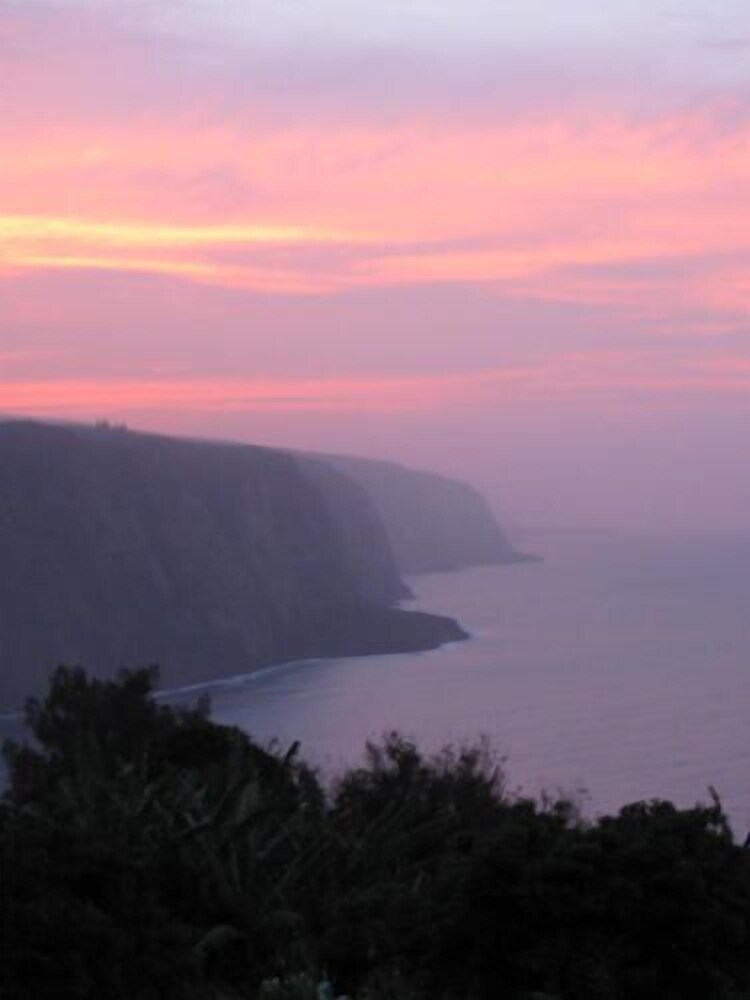 Hale Kukui Orchard & Cottages - photo 49