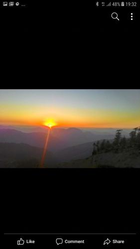 Trimurti Pine Valley Resort — Shimla — photo 4