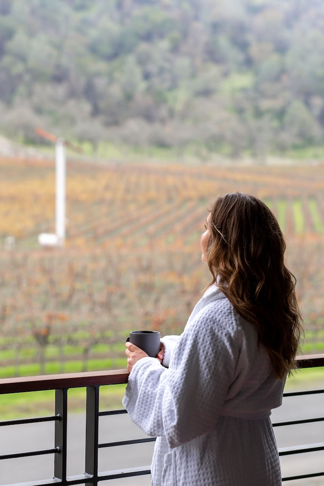 Four Seasons Resort and Residences Napa Valley - photo 101