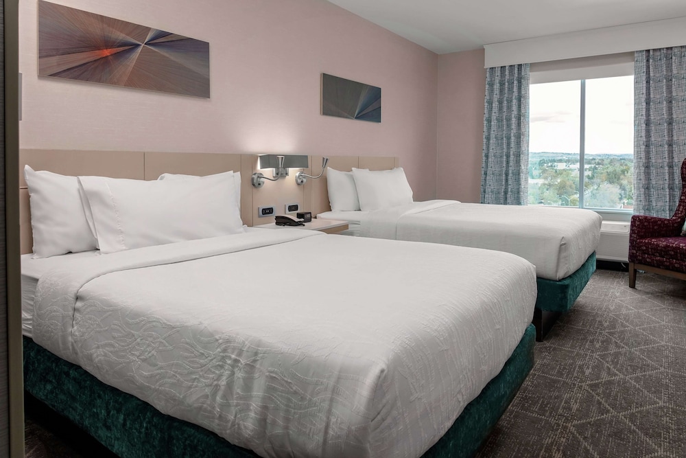 Hilton Garden Inn Colorado Springs Downtown - photo 45