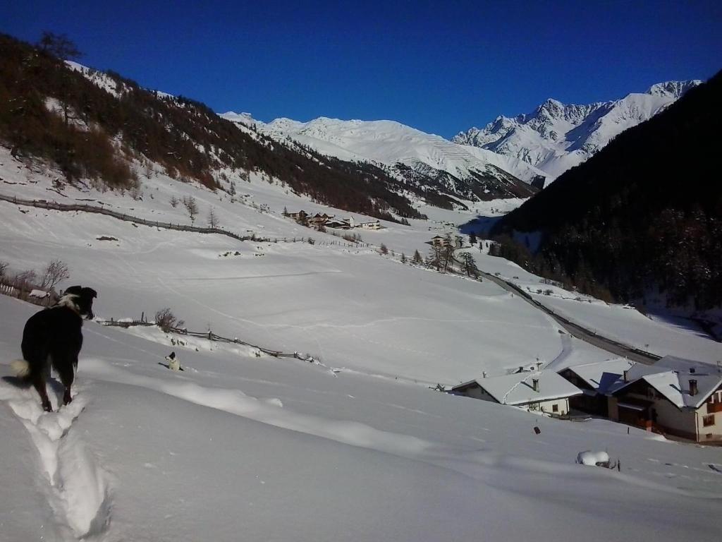 Padoellhof in Curon Venosta, Italy