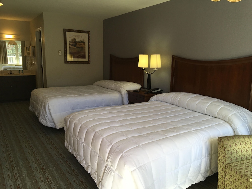 The University Inn - photo 4