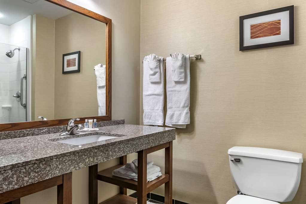 Comfort Inn Williamsport - photo 20