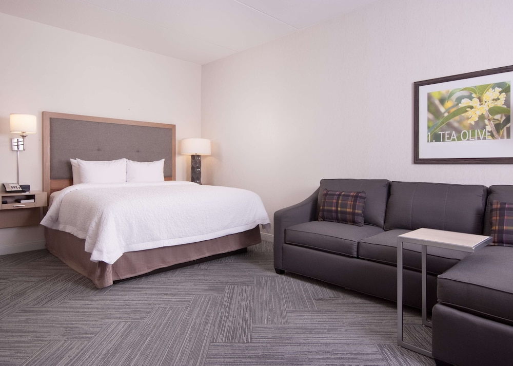Hampton Inn & Suites by Hilton Augusta Washington Rd - photo 19