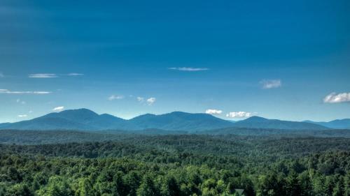 A Beary Nice View in Morganton, United States