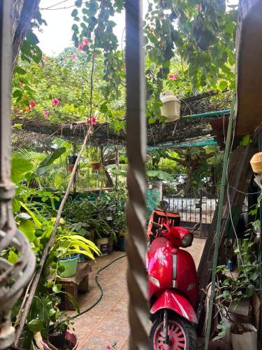 Casita 28 - last minute hotel in Cancun