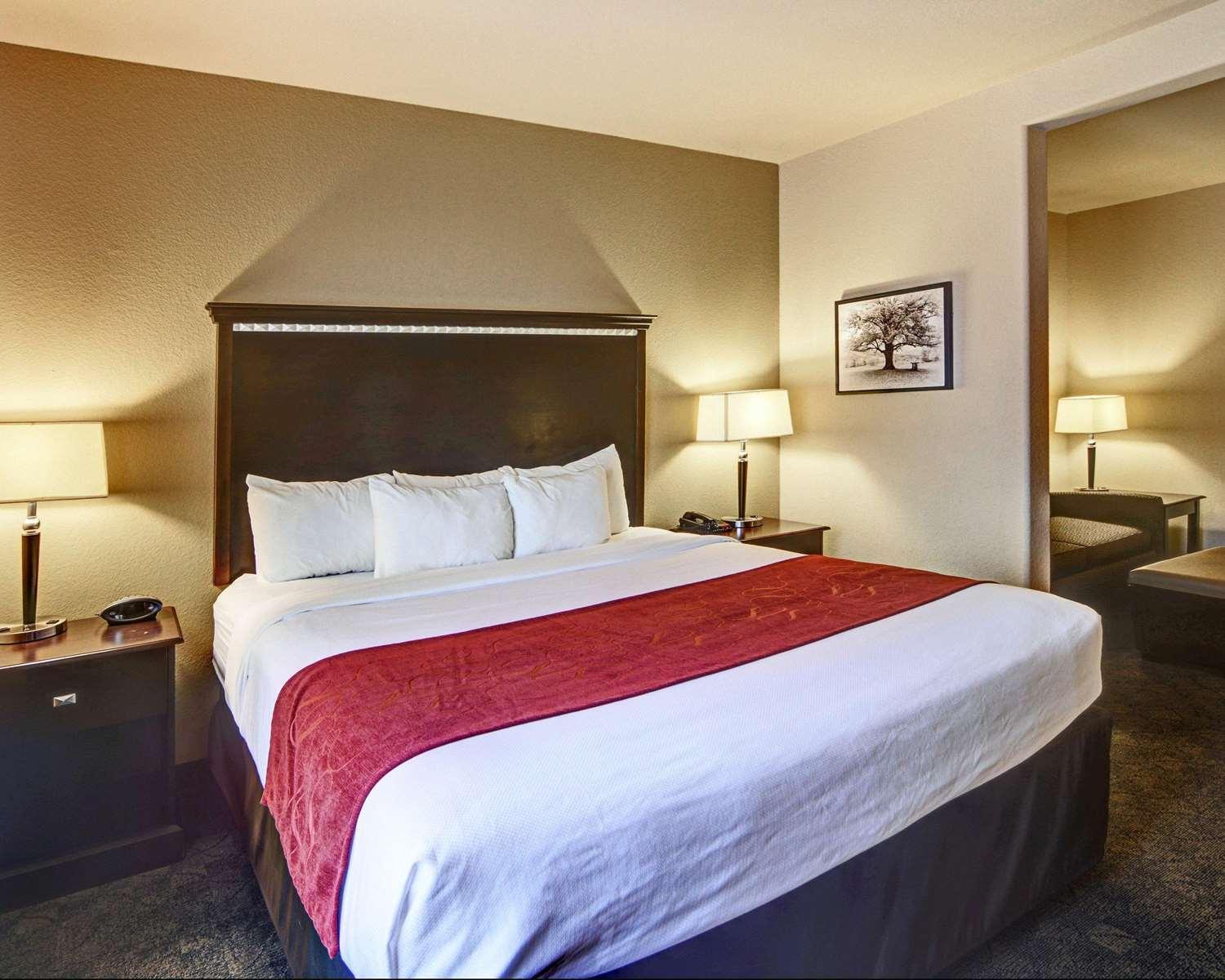Comfort Suites Arlington - photo 21