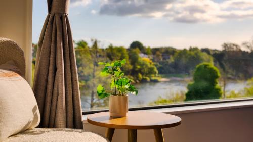Experience The Magic of Riverside Living 5 beds — 4-Star Luxury Hotel in Hamilton, New Zealand