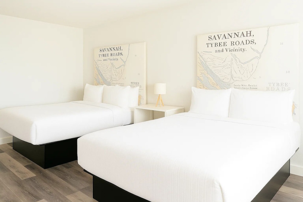Oneway Savannah - photo 14