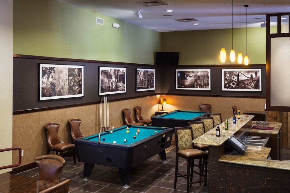 Holiday Inn San Antonio Seaworld by IHG - photo 35