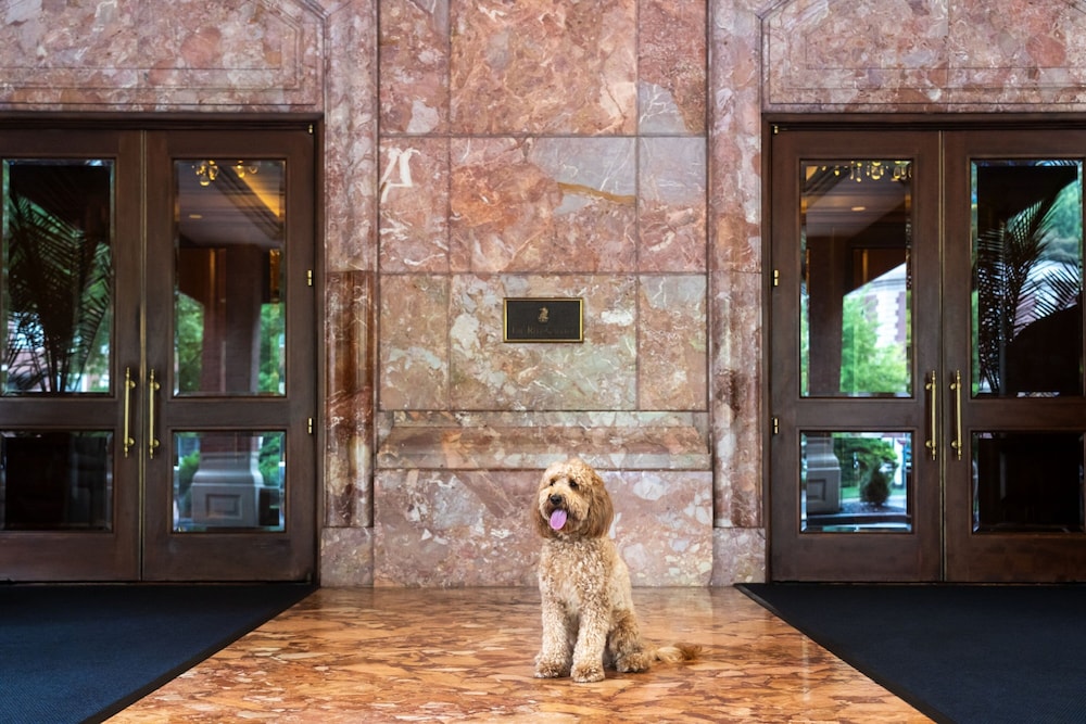 The Ritz Carlton St. Louis - photo 102