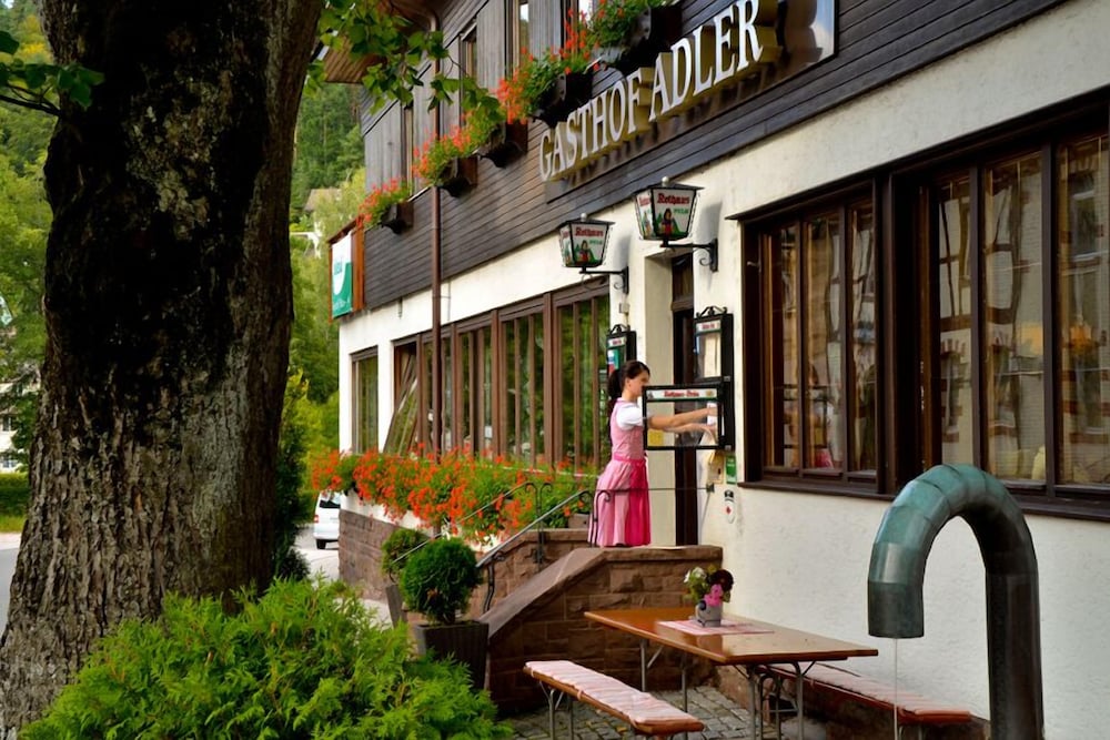 Gasthof Adler — hotel in Schramberg