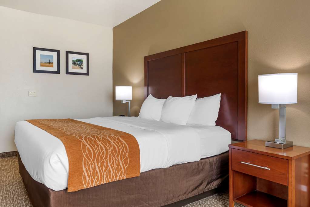 Comfort Inn Near UNT - photo 10