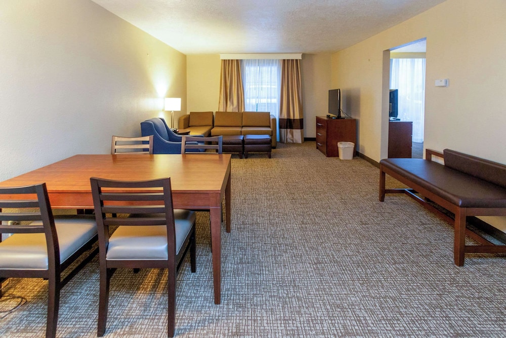 Comfort Inn Salt Lake City Downtown - photo 41
