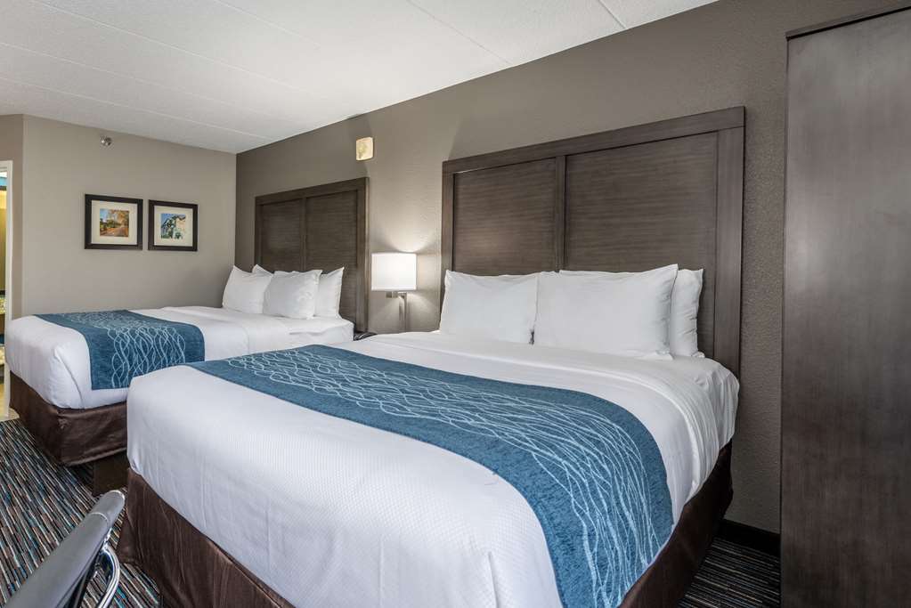 Comfort Inn Chicago Schaumburg O'Hare Airport - photo 20