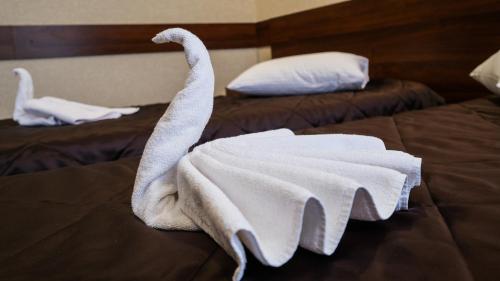 Transkholl in Boguchar, Russia