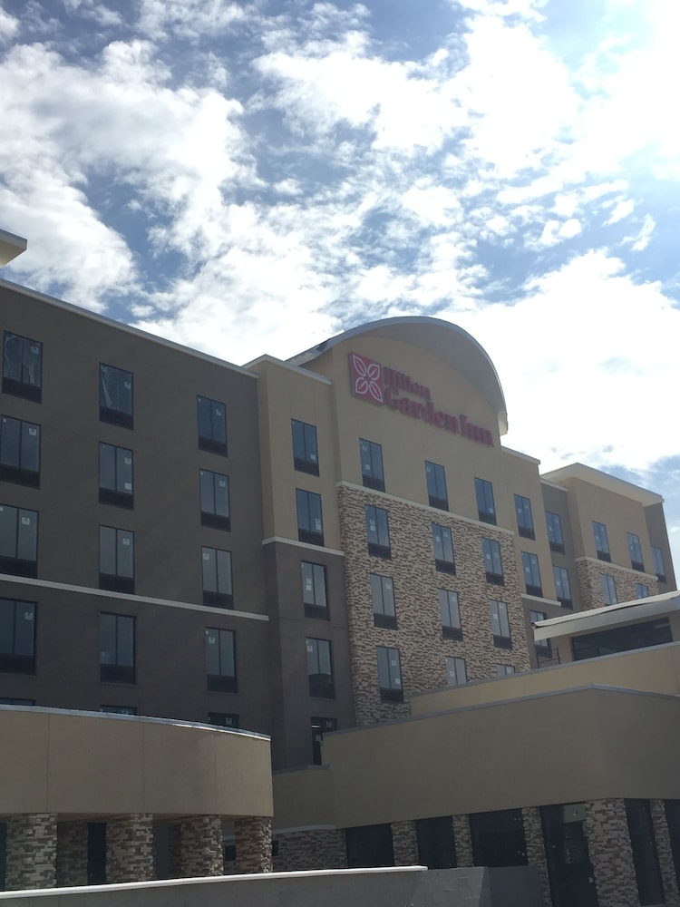 Hilton Garden Inn Dallas Arlington South - photo 27