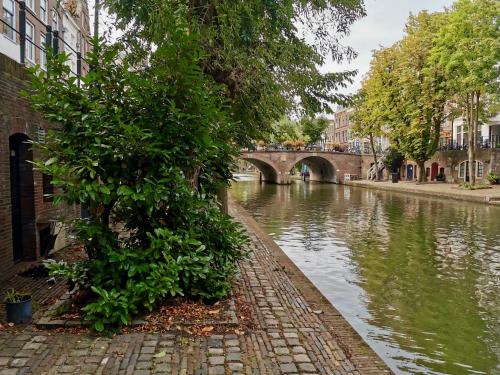 Werfkelder aan de Oudegracht