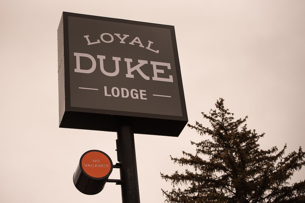 Loyal Duke Lodge - photo 46