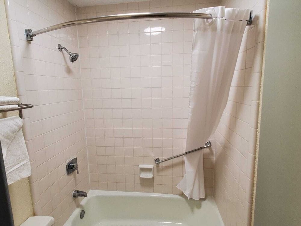 Palmetto Inn & Suites - photo 7