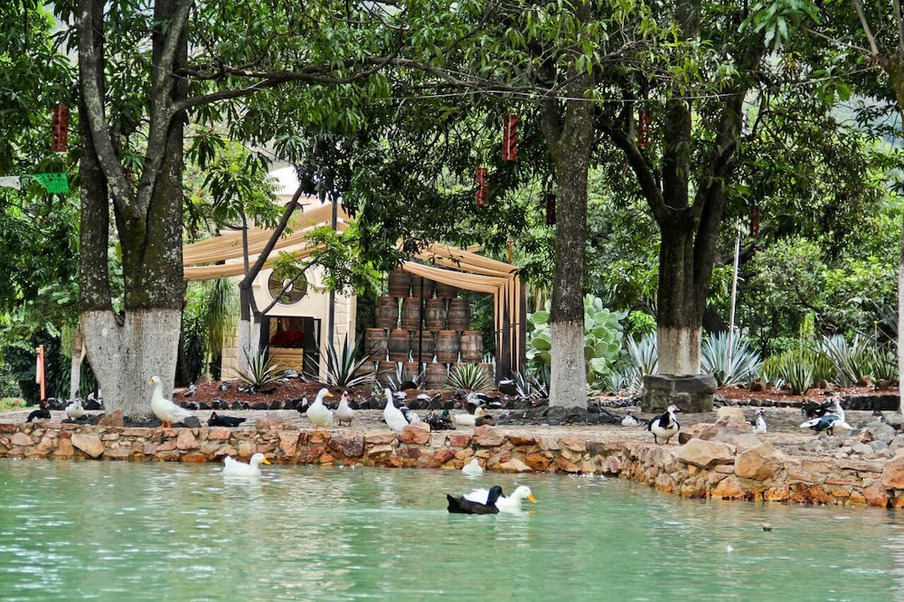 Outdoor banquet area