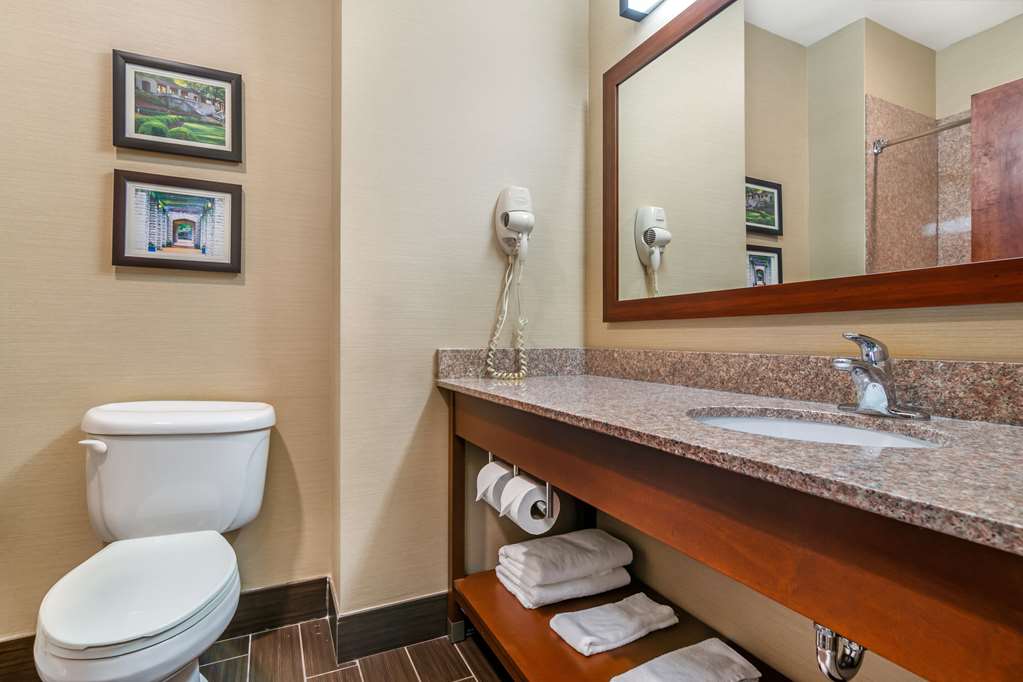 Comfort Suites Jefferson City - photo 13