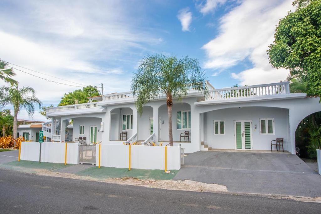 Casa Loba Suite 2 at 413 with private pool — 4-Star Luxury Hotel in Rincon, Puerto Rico