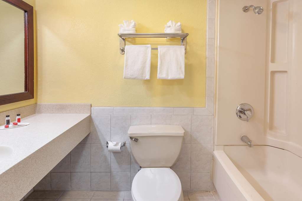 Days Inn by Wyndham Nanuet Spring Valley - photo 13