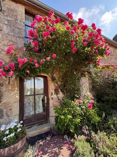Domaine les roses du vieux chai — hotel in Doue-La-Fontaine
