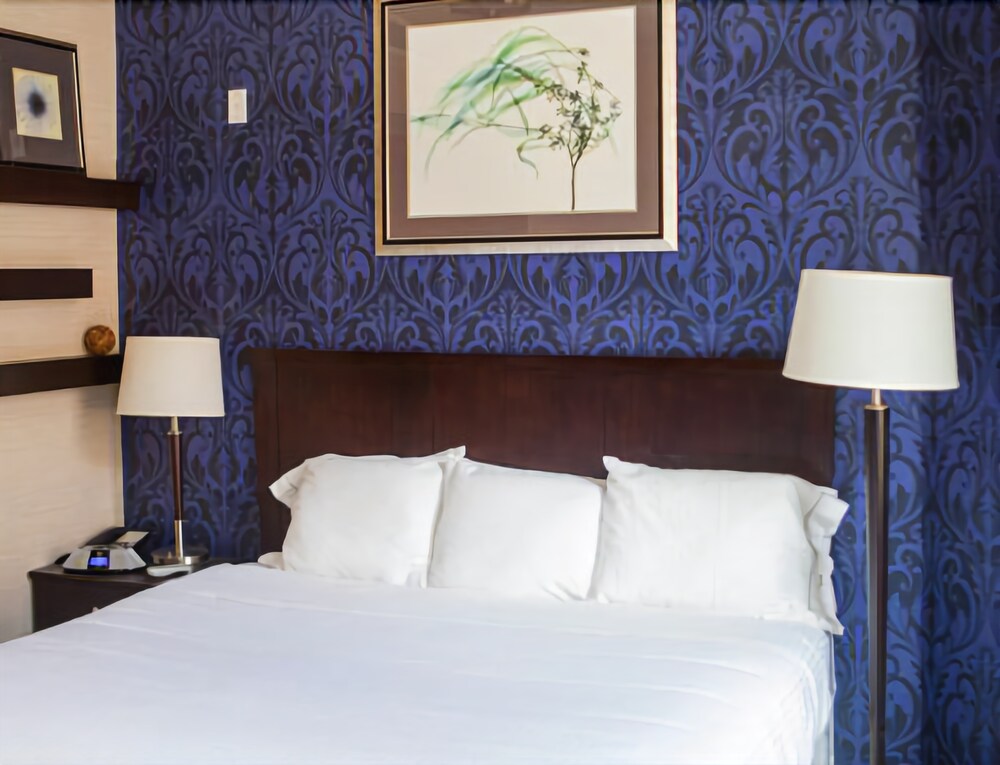 The Hotel By Gold Dust - photo 8