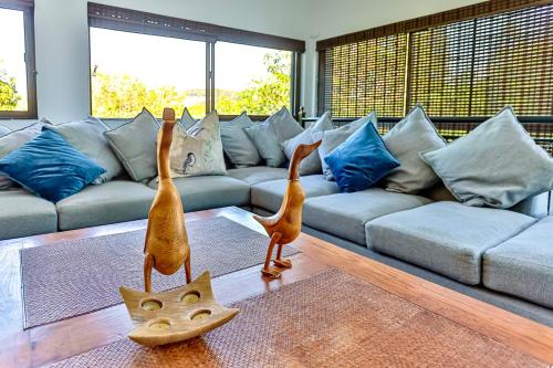 6 Robbins Road in Ballito, South Africa